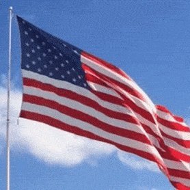 dnmcq17's profile picture. Jesus is 👑 🙏, Following Paul. Patriot, ❤ of Truth; Life, Liberty and the pursuit of Happiness, Pure 🫀️ family over 50 yrs, Proud Deplorable. Gardening Rocks