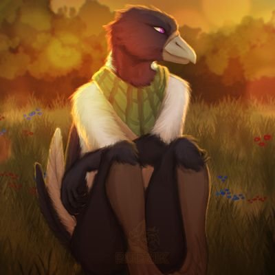 Qörióさんのプロフィール画像