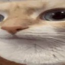 cryve_lol's profile picture. w/e