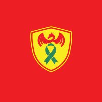 Clŵb Pêl-Droed Trawsblaniad Cymru(@CPDTC2017) 's Twitter Profileg