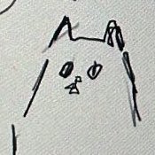 z̶un。 (@az_pqpq) 's Twitter Profile