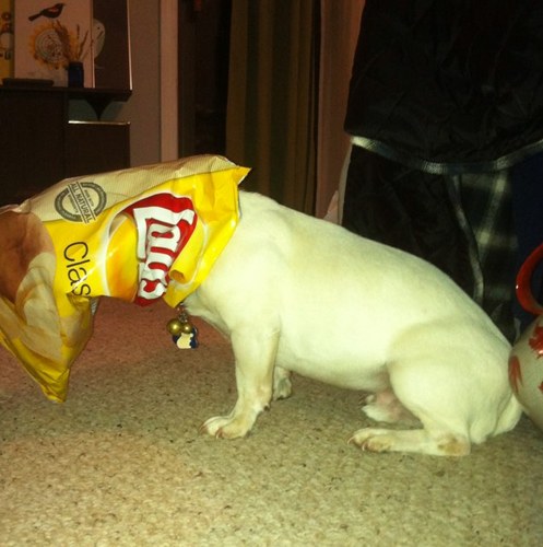 whatsit4me's profile picture. 