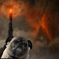 ZoodleMyNoodle (@zoodlemynoodle1) 's Twitter Profile Photo