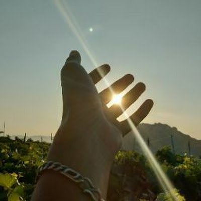 nghiatrung88225's profile picture. 