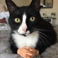 Ilovemilfs9898's profile picture. 