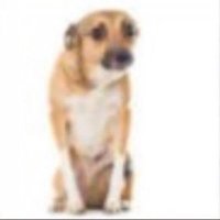 prrito dsvldo (@j4v0nc00) 's Twitter Profile