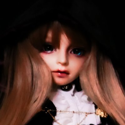 FLOR FLORA（フロルフロラ）はドール関連アイテムを手掛けるディーラーです。『想いをカタチに』をコンセプトにこんなアイテムが欲しかったと言っていただける作品を目指しています。
SHOP：https://t.co/tZHZtGf0ro