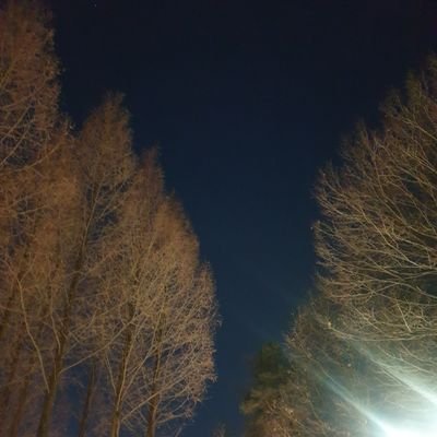 4_letter_for_me's profile picture. 인생 뭐 있나 밥묵자