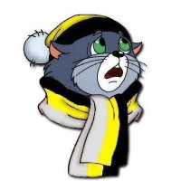 Z_Подпольный Черносотенецъ 🖤🤍💛 (@von_howitzerr) 's Twitter Profile
