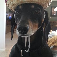 Search4Trth (@search4trth) 's Twitter Profile Photo Search4Trth (@search4trth) 's Twitter Profile Photo