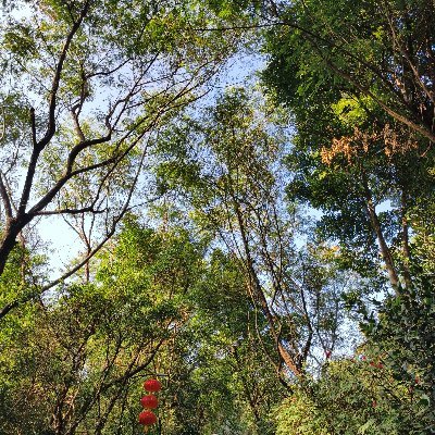 yhun1994953's profile picture. 