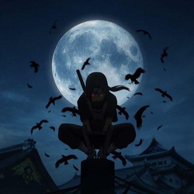 TrafalgarDN's profile picture. Chirurgien de la mort ☠️