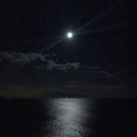 Mohammed (@mohammed249344) 's Twitter Profile