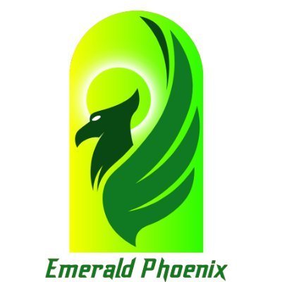 Official Twitter Account of the Emerald Phoenix studio.
Currently working on our first project.