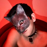 TWINK CAT 🐱 (@ttwinkcat) 's Twitter Profile