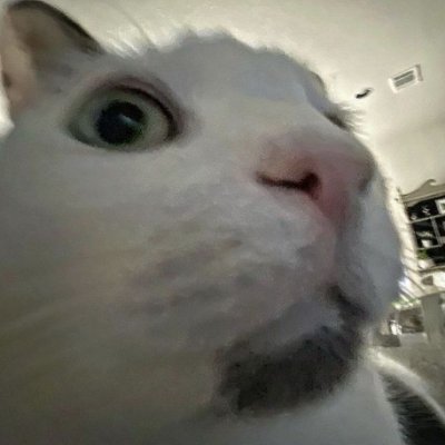 Bombegaaa's profile picture. 