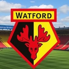 I thought I would give it a go... 
And try to write poems which show...
The good and the mad...
The happy and bad...
And why I love #WatfordFC so