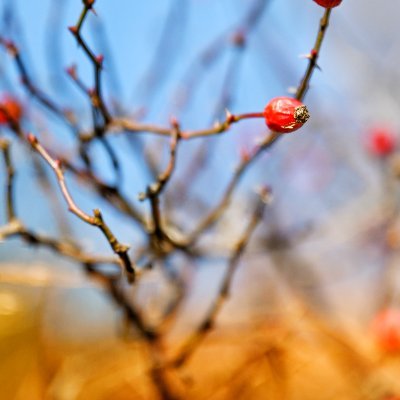 mej_ch's profile picture. Love nature