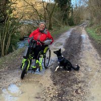 Debbie North (@debbienorth29) 's Twitter Profile