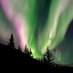 TravelTromso (@traveltromso) Twitter profile photo TravelTromso (@traveltromso) Twitter profile photo