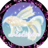 wisteria(@cory_wisteria_) 's Twitter Profile Photo