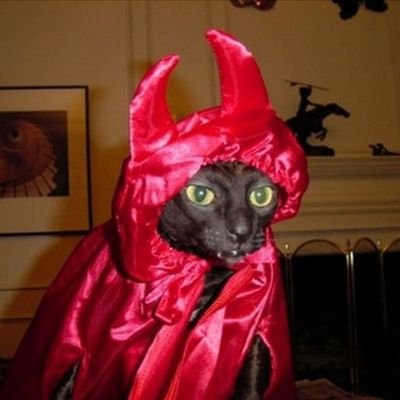 gaabioca's profile picture. eu não existo fora daqui