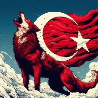 Turk Till I Die! 🇹🇷🇦🇿🇰🇬🇺🇿🇹🇲🇵🇼 𐱅𐰇𐰼𐰰 🐺🤘🏽