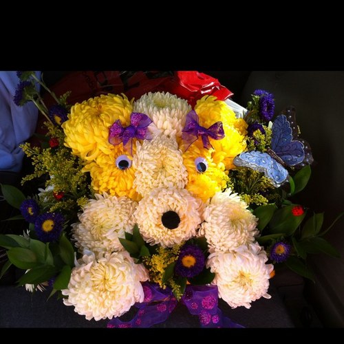 CK9295's profile picture. 