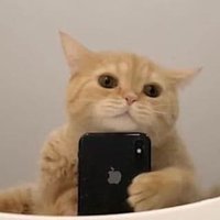 David Gato (@tuvatoelgato) 's Twitter Profile