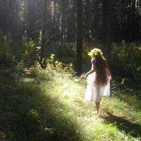 Mîr (@mirmirtarot) 's Twitter Profile