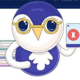 Shamsifan2's profile picture. game changer