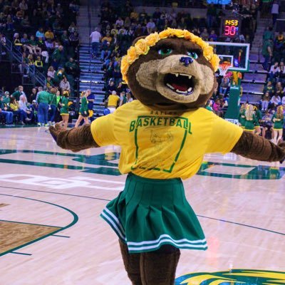 Official mascot of Baylor University!!! Go follow my friend @BaylorBruiser! Sic ’em Bears!!! 💚💛🐻🌼 Instagram: @baylormascots
