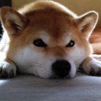 UIO (@uea_uio) 's Twitter Profile
