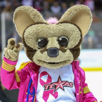 The Official Mascot of the @TexasStars! 🌟 Presented by my friends @TexasChildrens 🩺    4x reigning Best Mascot of @theahl 🏆