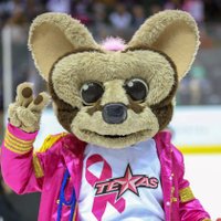 Ringo the Ringtail ☆ (@txstarsringo) 's Twitter Profile Photo Ringo the Ringtail ☆ (@txstarsringo) 's Twitter Profile Photo