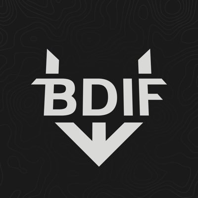 Premiere Esports Organization with a mission to cultivate a community of passionate content creators and esports athletes. #BDIF