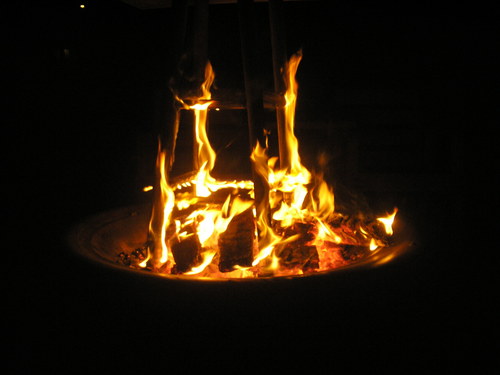 Thewildlandfire's profile picture. 