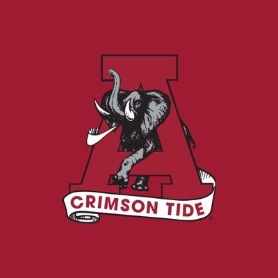 Alabama Crimson Tide and F1 fan, wife to former Marine, mom of two Bama students and a UTM student, Bama C&BA accounting grad 🐘