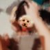 很聪明的媚儿 (@h646z) Twitter profile photo 很聪明的媚儿 (@h646z) Twitter profile photo