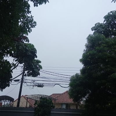 Dima130832's profile picture. 