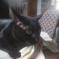 becky (@becky174383) 's Twitter Profile