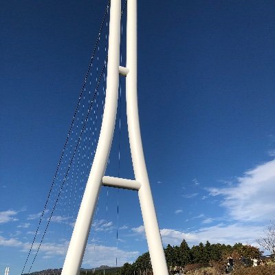 Vi5ALs07JrhDFQP's profile picture. ラジオをよく聞いています。ラーメン大好き 乃木坂46推し