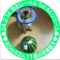 みどニンジャ(@midoninja0103) 's Twitter Profile Photo