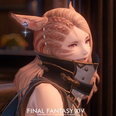 FF14