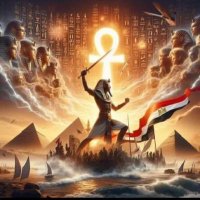 Alaa Mahmoud (@alaa251786) 's Twitter Profile