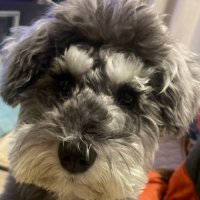 奥山航平 (@ymkk02181) Twitter profile photo