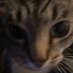sakefloat (@sakefloat) Twitter profile photo sakefloat (@sakefloat) Twitter profile photo