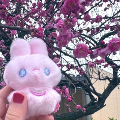 🐟さんのプロフィール画像