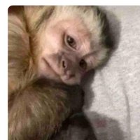 Graceeesita⁷ (@keezlyg) 's Twitter Profile