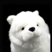 わんちゃんあるわ (@onechance_aruwa) 's Twitter Profile